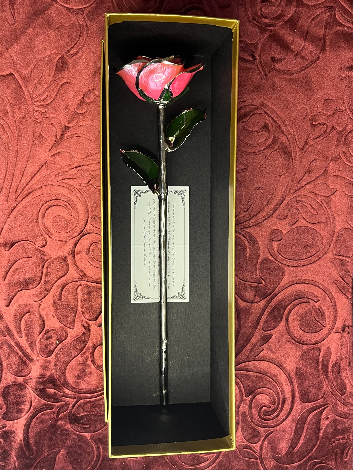 Pink Rose with Platinum Trim
