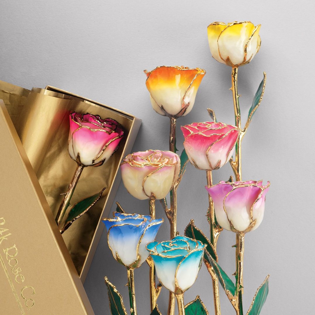 Cream Red Rose with 24K Gold Trim