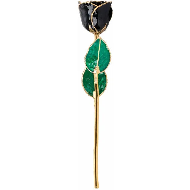 Black Rose with 24K Gold Trim