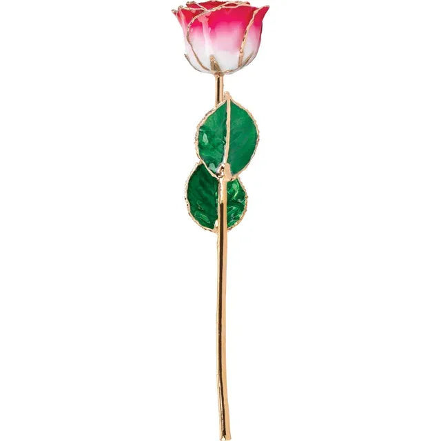 Cream Red Rose with 24K Gold Trim