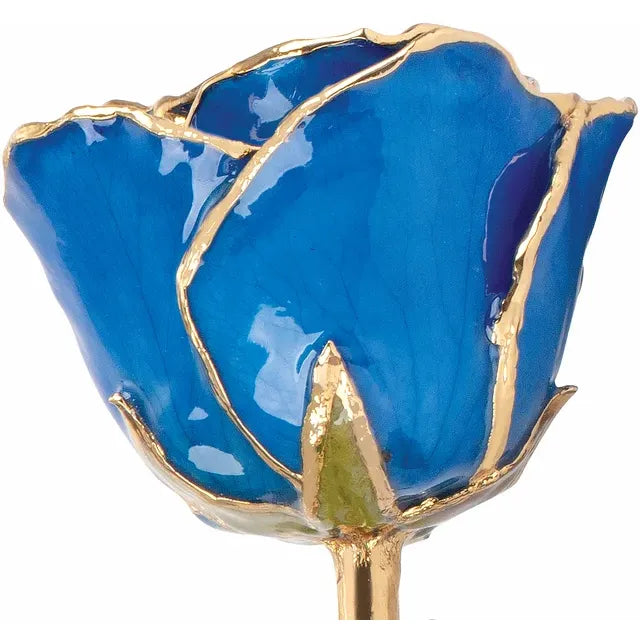 Blue Sapphire Rose with 24K Gold Trim