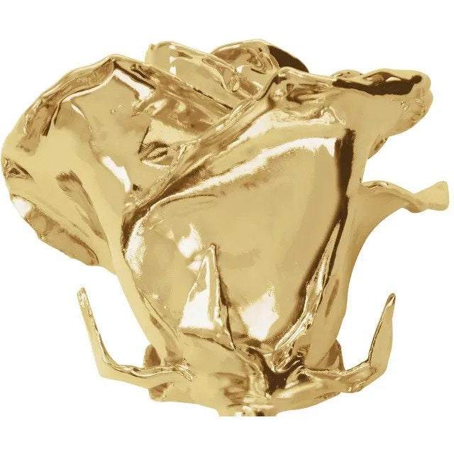 24K Golden Rose