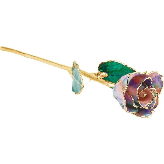 Opal Colored Rose with 24K Gold Trim