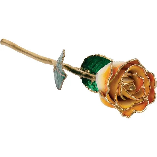 Cream Orange Rose with 24K Gold Trim