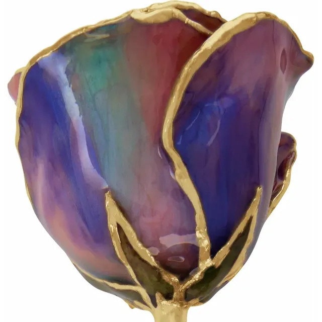 Opal Colored Rose with 24K Gold Trim