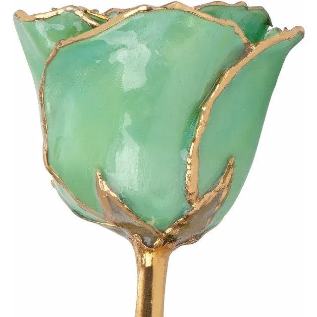 Green Rose with 24K Gold Trim