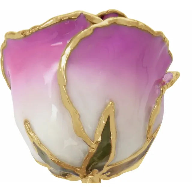 Pink Cream Rose with 24K Gold Trim