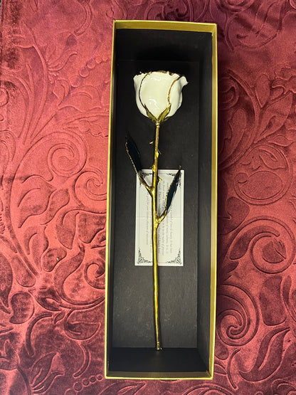 White Rose with 24K Gold Trim