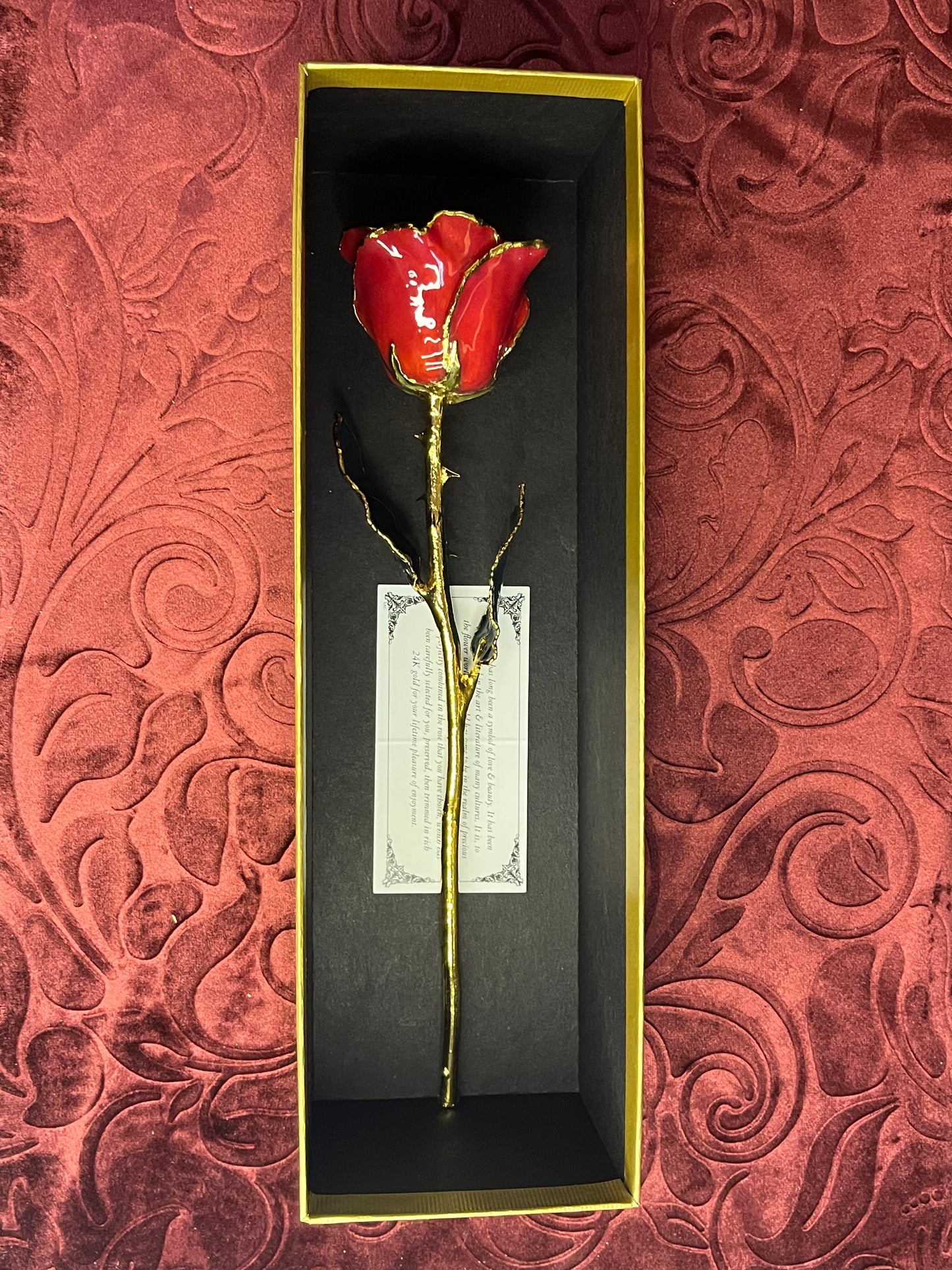 Red Rose with 24K Gold Trim