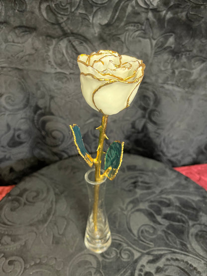 White Rose with 24K Gold Trim