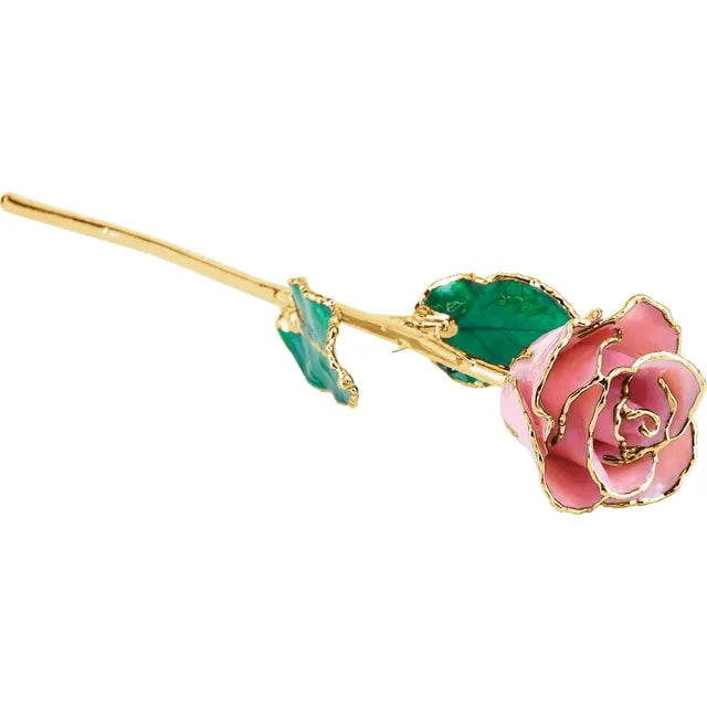 Pink Rose with 24K Gold Trim