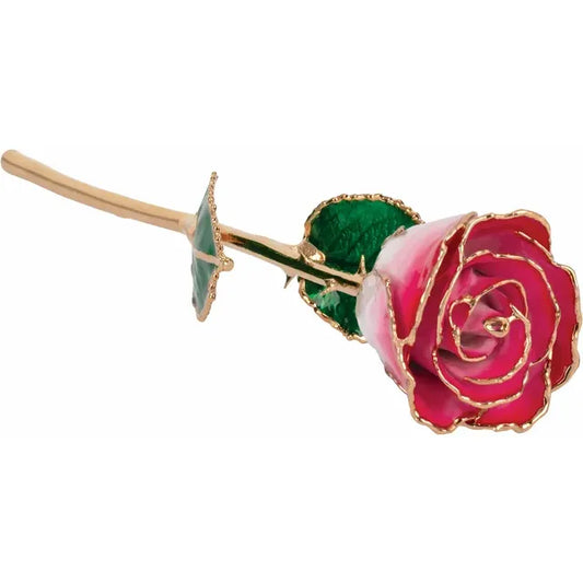 Cream Red Rose with 24K Gold Trim