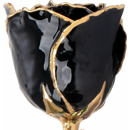 Black Rose with 24K Gold Trim