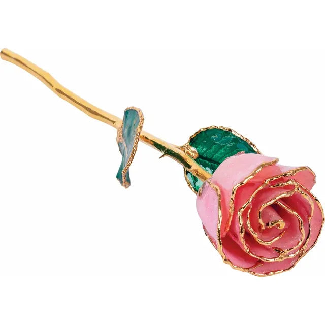 Pink Rose with 24K Gold Trim