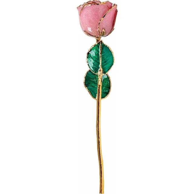 Pink Rose with 24K Gold Trim