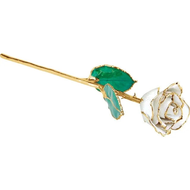 White Rose with 24K Gold Trim