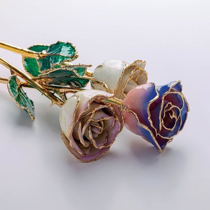 Opal Colored Rose with 24K Gold Trim
